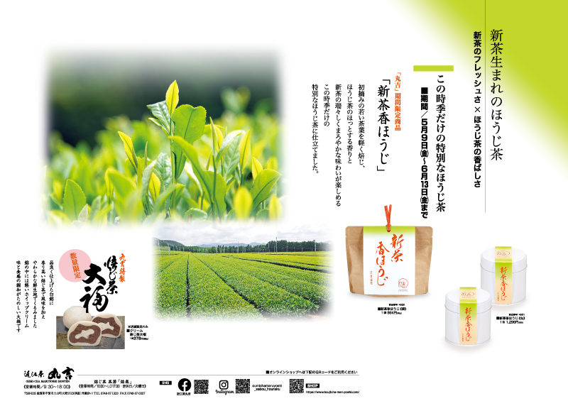 近江茶 丸吉|季節の商品 近江茶 丸吉|季節の商品